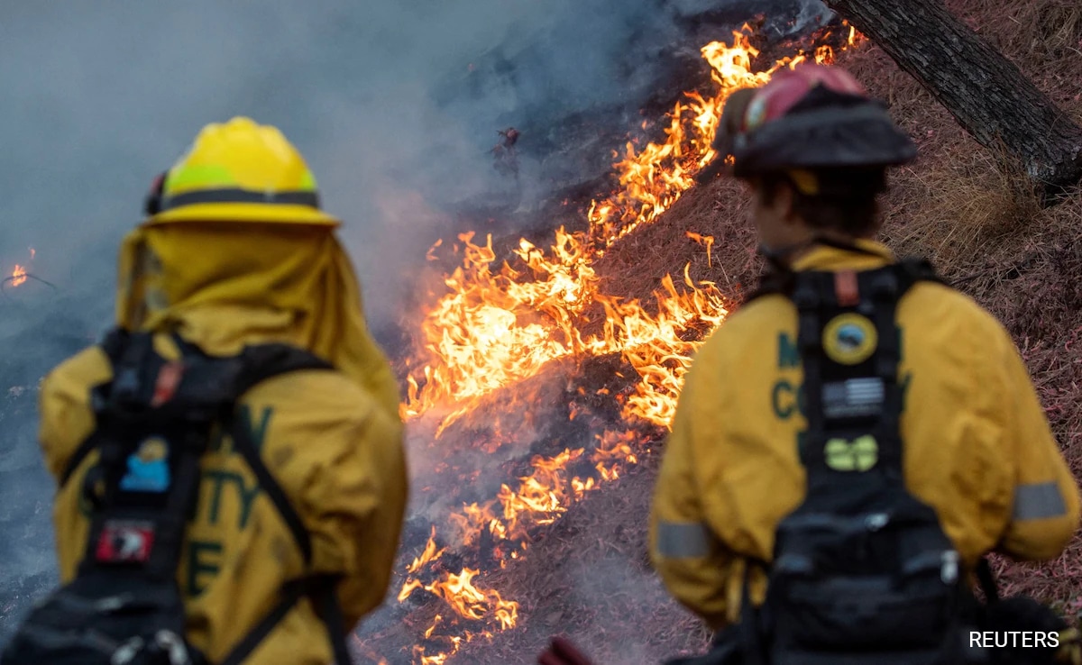 Los Angeles fire kills 24, high winds trigger ‘fire tornado’: 10 points